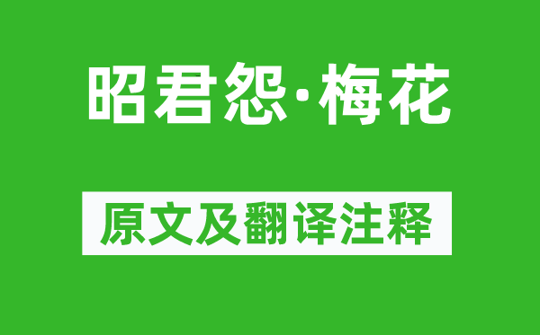 郑域《昭君怨·梅花》原文及翻译注释,诗意解释