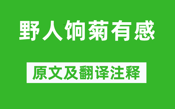 张煌言《野人饷菊有感》原文及翻译注释,诗意解释