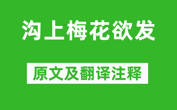 王安石《沟上梅花欲发》原文及翻译注释,诗意解释