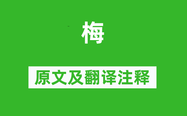 杜牧《梅》原文及翻译注释,诗意解释