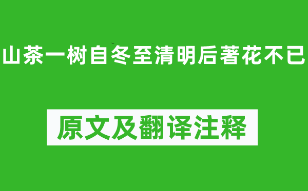 陆游《山茶一树自冬至清明后著花不已》原文及翻译注释,诗意解释