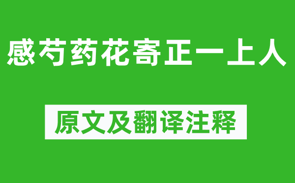 白居易《感芍药花寄正一上人》原文及翻译注释,诗意解释