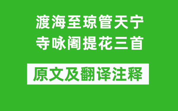 李纲《渡海至琼管天宁寺咏阇提花三首》原文及翻译注释,诗意解释