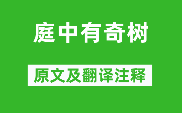 《庭中有奇树》原文及翻译注释,诗意解释