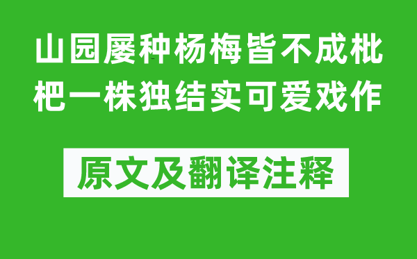 陆游《山园屡种杨梅皆不成枇杷一株独结实可爱戏作》原文及翻译注释,诗意解释