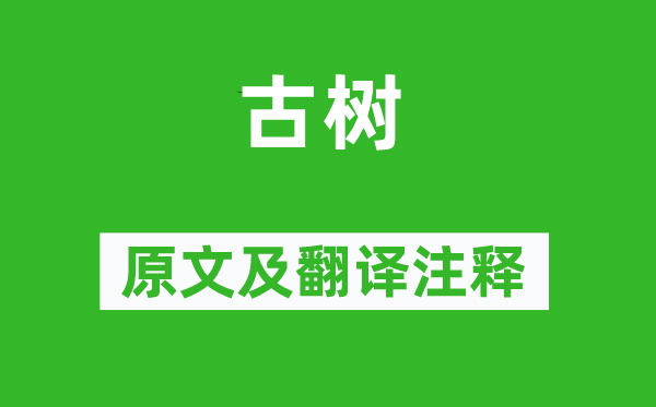 杜濬《古树》原文及翻译注释,诗意解释