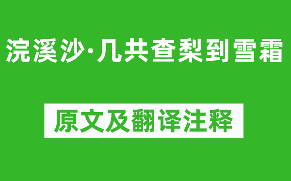 苏轼《浣溪沙·几共查梨到雪霜》原文及翻译注释,诗意解释