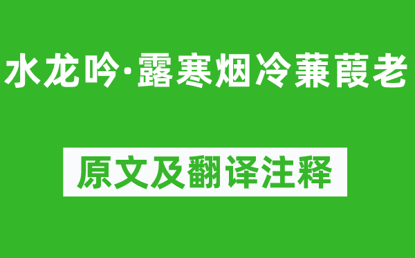 苏轼《水龙吟·露寒烟冷蒹葭老》原文及翻译注释,诗意解释