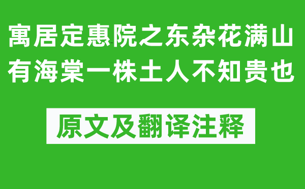 苏轼《寓居定惠院之东杂花满山有海棠一株土人不知贵也》原文及翻译注释,诗意解释