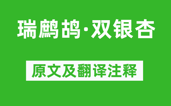 李清照《瑞鹧鸪·双银杏》原文及翻译注释,诗意解释