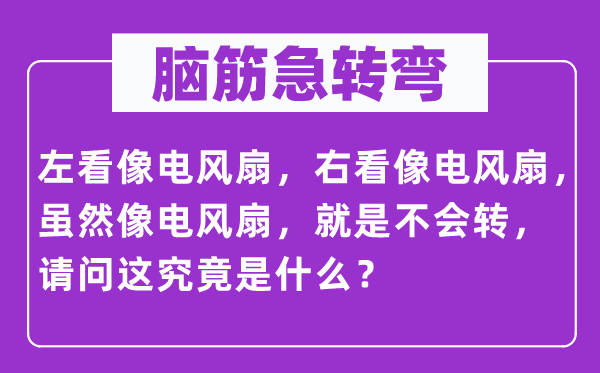 脑筋急转弯：左看像电风扇，右看像电风扇，虽然像电风扇，就是不会转，请问这究竟是什么？