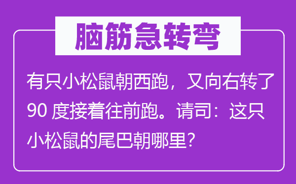 脑筋急转弯：有只小松鼠朝西跑，又向右转了90度接着往前跑。请司：这只小松鼠的尾巴朝哪里？