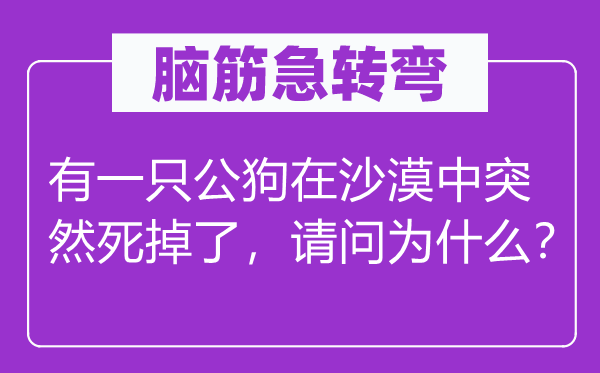 脑筋急转弯：有一只公狗在沙漠中突然死掉了，请问为什么？