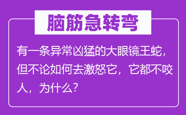 脑筋急转弯：有一条异常凶猛的大眼镜王蛇，但不论如何去激怒它，它都不咬人，为什么？