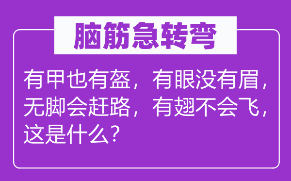 脑筋急转弯：有甲也有盔，有眼没有眉，无脚会赶路，有翅不会飞，这是什么？