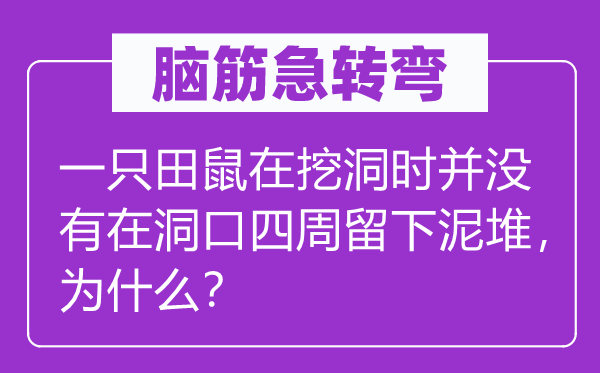 脑筋急转弯：一只田鼠在挖洞时并没有在洞口四周留下泥堆，为什么？