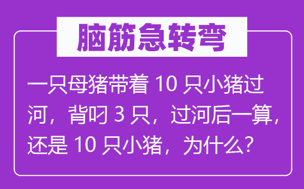 脑筋急转弯：一只母猪带着10只小猪过河，背叼3只，过河后一算，还是10只小猪，为什么？