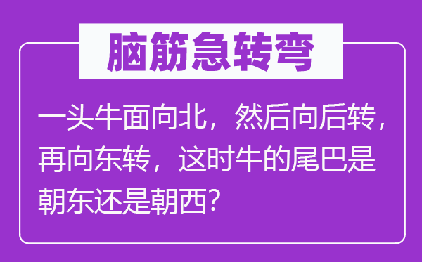 脑筋急转弯：一头牛面向北，然后向后转，再向东转，这时牛的尾巴是朝东还是朝西？