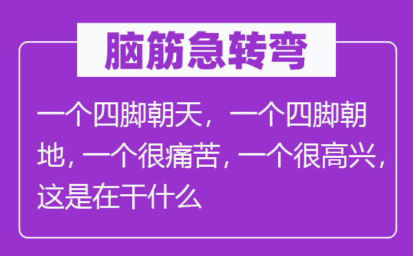 脑筋急转弯：一个四脚朝天，一个四脚朝地，一个很痛苦，一个很高兴，这是在干什么