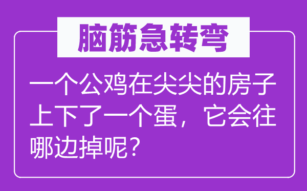 脑筋急转弯：一个公鸡在尖尖的房子上下了一个蛋，它会往哪边掉呢？