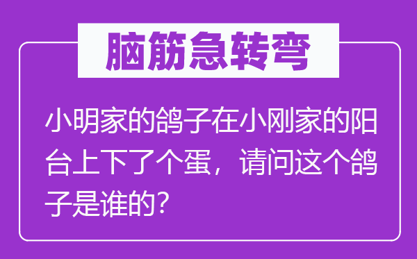 脑筋急转弯：小明家的鸽子在小刚家的阳台上下了个蛋，请问这个鸽子是谁的？