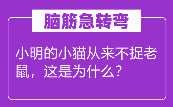 脑筋急转弯：小明的小猫从来不捉老鼠，这是为什么？