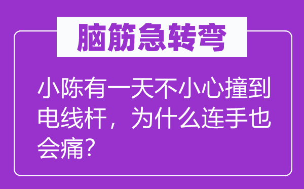 脑筋急转弯：小陈有一天不小心撞到电线杆，为什么连手也会痛？