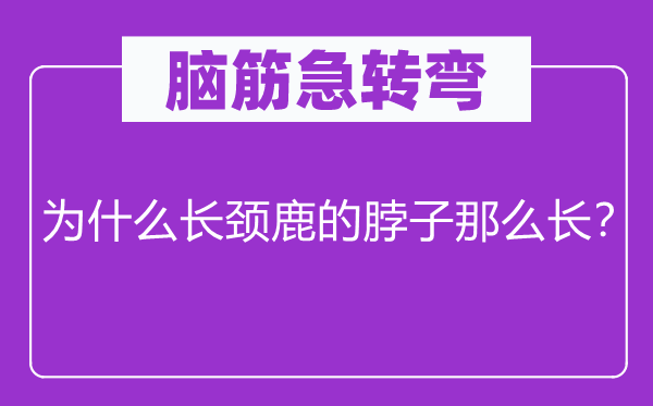 脑筋急转弯：为什么长颈鹿的脖子那么长？