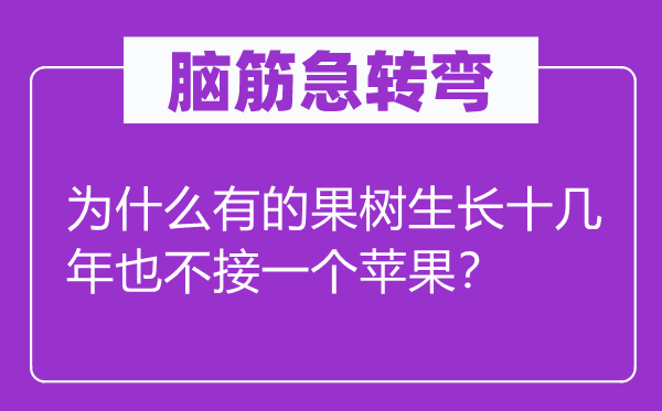 脑筋急转弯：为什么有的果树生长十几年也不接一个苹果？