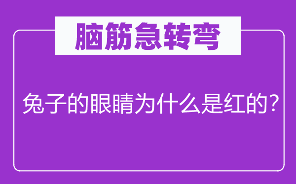 脑筋急转弯：兔子的眼睛为什么是红的？