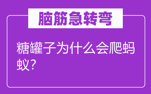 脑筋急转弯：糖罐子为什么会爬蚂蚁？