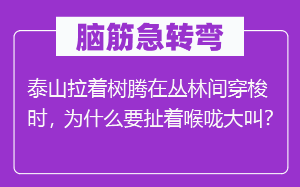 脑筋急转弯：泰山拉着树腾在丛林间穿梭时，为什么要扯着喉咙大叫？