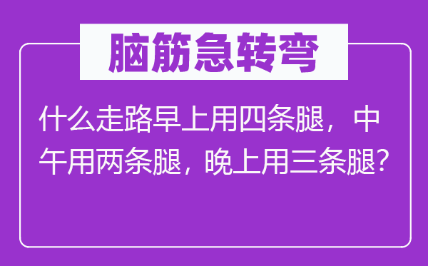 脑筋急转弯：什么走路早上用四条腿，中午用两条腿，晚上用三条腿？