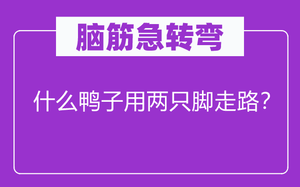 脑筋急转弯：什么鸭子用两只脚走路？