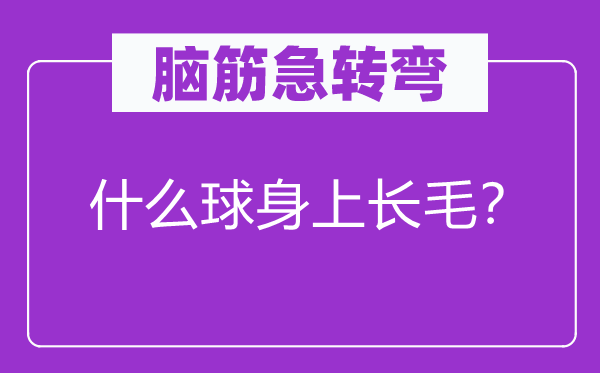 脑筋急转弯：什么球身上长毛？