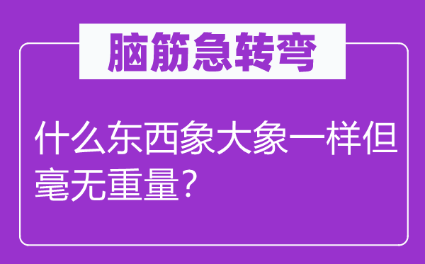 脑筋急转弯：什么东西象大象一样但毫无重量？