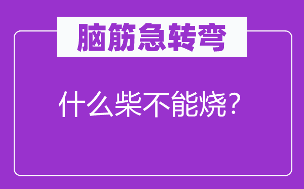 脑筋急转弯：什么柴不能烧？