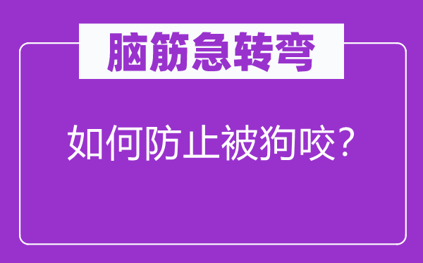 脑筋急转弯：如何防止被狗咬？