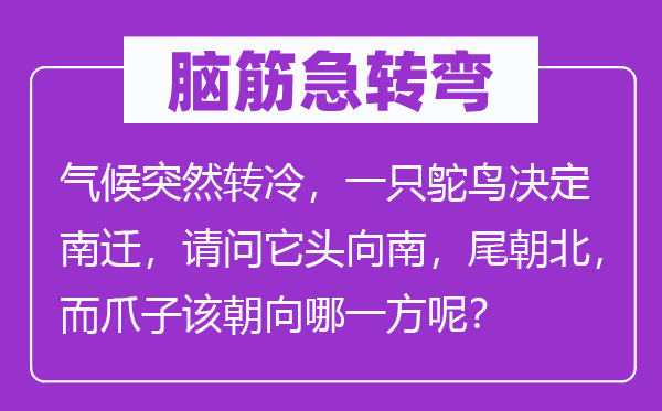 脑筋急转弯：气候突然转冷，一只鸵鸟决定南迁，请问它头向南，尾朝北，而爪子该朝向哪一方呢？