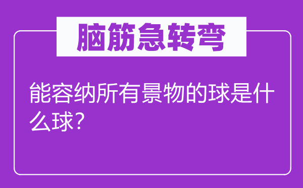 脑筋急转弯：能容纳所有景物的球是什么球？