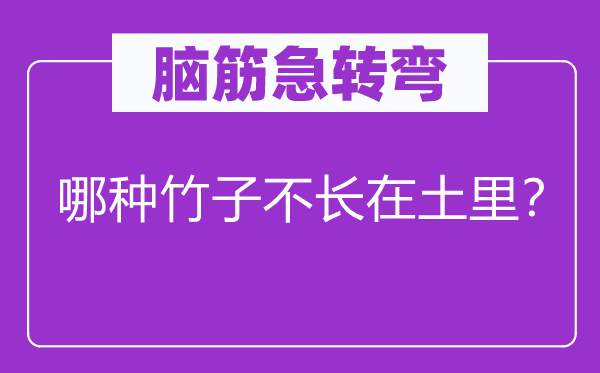 脑筋急转弯：哪种竹子不长在土里？