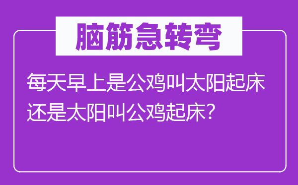 脑筋急转弯：每天早上是公鸡叫太阳起床还是太阳叫公鸡起床？