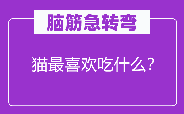 脑筋急转弯：猫最喜欢吃什么？