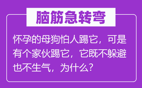 脑筋急转弯：怀孕的母狗怕人踢它，可是有个家伙踢它，它既不躲避也不生气，为什么？