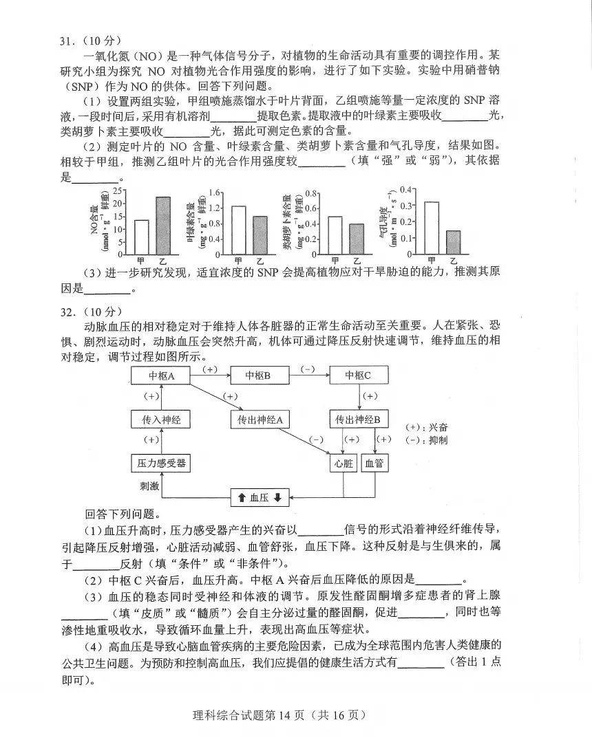 新高考2024九省联考河南理综试卷及答案解析