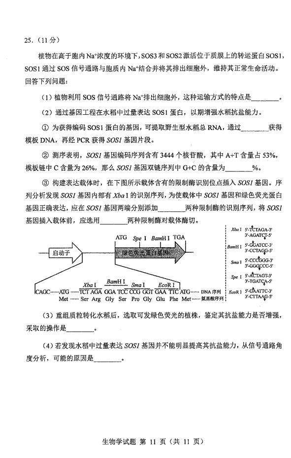 新高考2024七省联考生物试卷及答案解析