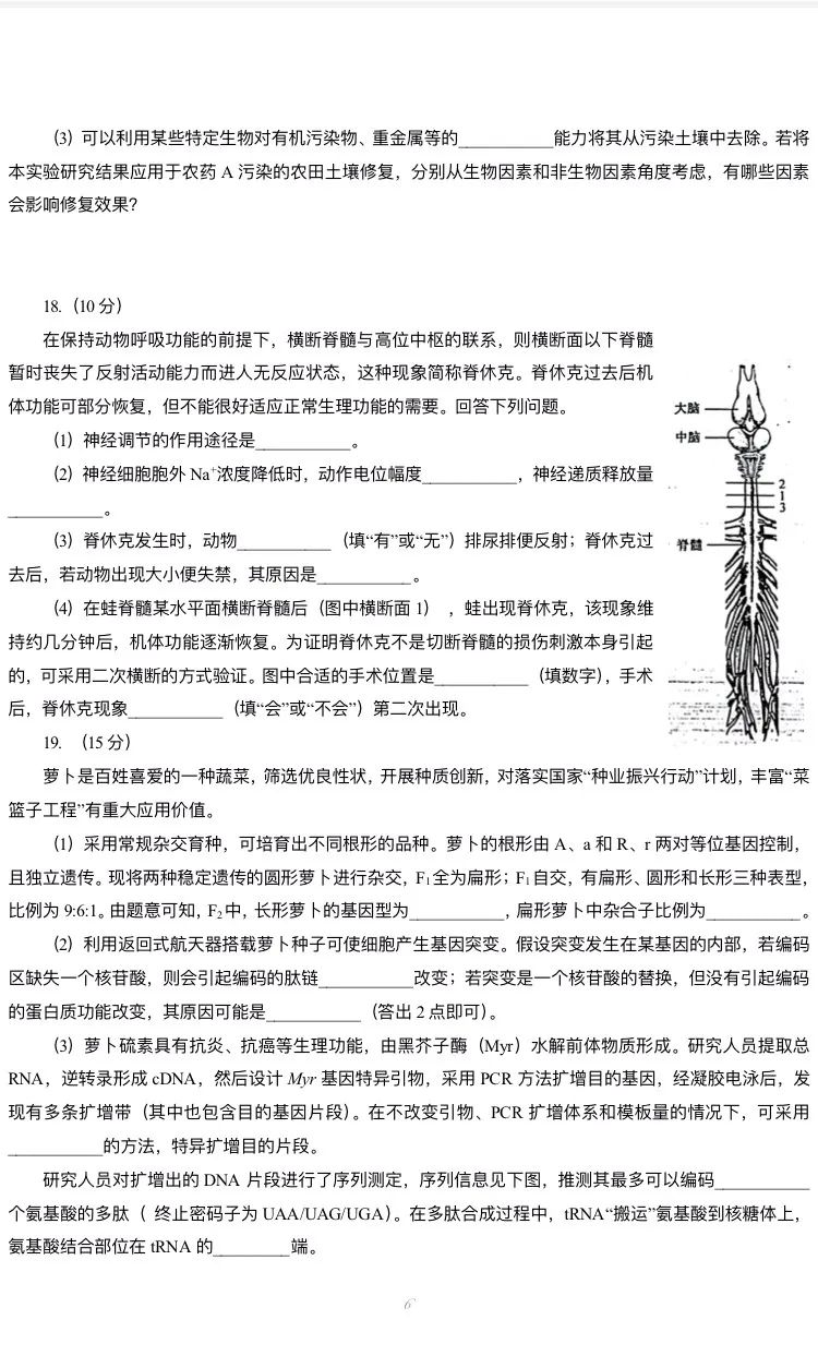 新高考2024七省联考生物试卷及答案解析