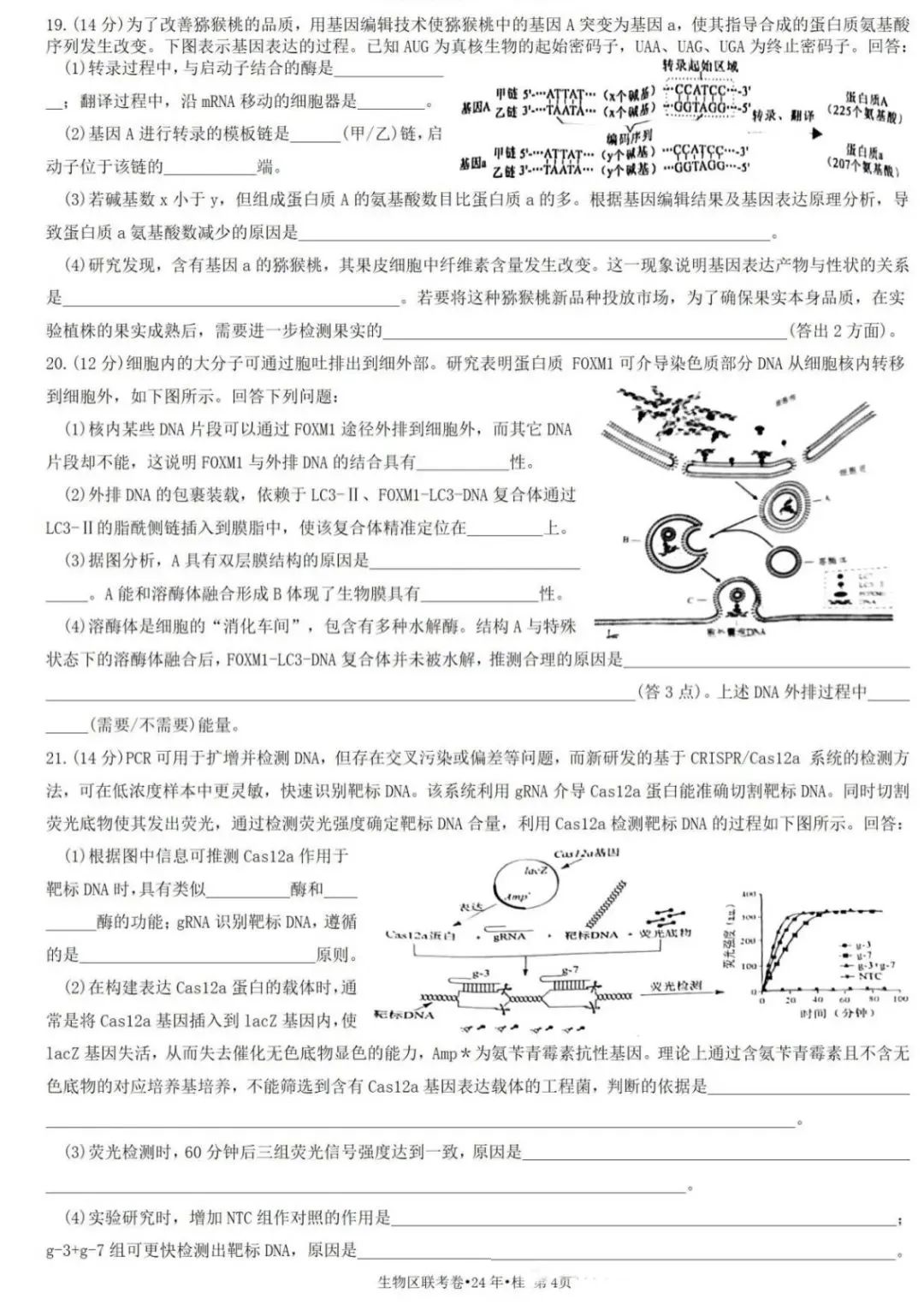 新高考2024七省联考生物试卷及答案解析