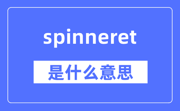 spinneret是什么意思,spinneret怎么读,中文翻译是什么