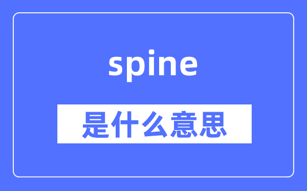 spine是什么意思,spine怎么读,中文翻译是什么